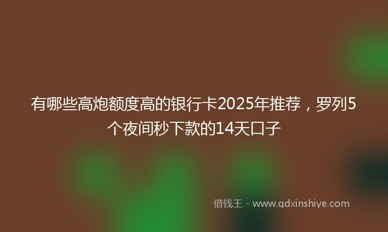 有哪些高炮额度高的银行卡2025年推荐，罗列5个夜间秒下款的14天口子