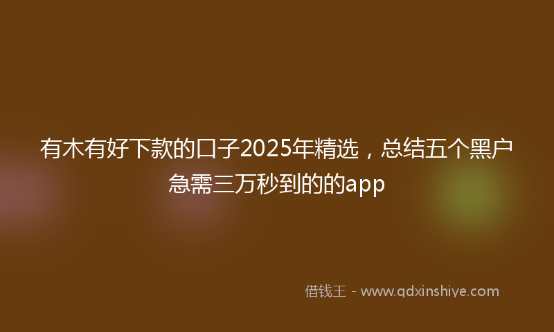 有木有好下款的口子2025年精选，总结五个黑户急需三万秒到的的app