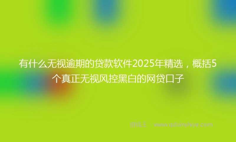 有什么无视逾期的贷款软件2025年精选,概括5个真正无视风控黑白的网贷口子