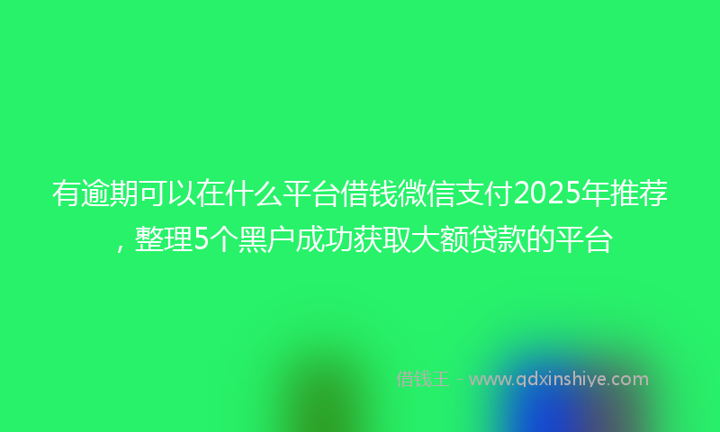 有逾期可以在什么平台借钱微信支付2025年推荐，整理5个黑户成功获取大额贷款的平台