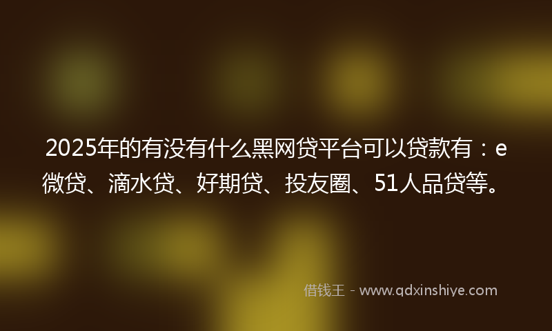 2025年的有没有什么黑网贷平台可以贷款有：e微贷、滴水贷、好期贷、投友圈、51人品贷等。