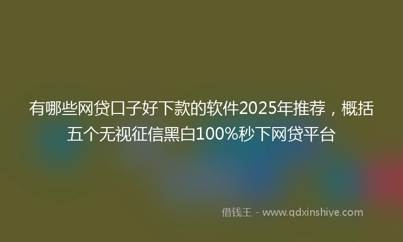 有哪些网贷口子好下款的软件2025年推荐，概括五个无视征信黑白100%秒下网贷平台