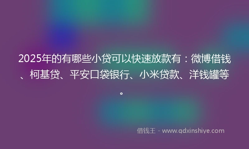 2025年的有哪些小贷可以快速放款有：微博借钱、柯基贷、平安口袋银行、小米贷款、洋钱罐等。