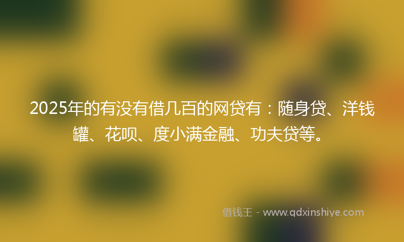 2025年的有没有借几百的网贷有：随身贷、洋钱罐、花呗、度小满金融、功夫贷等。