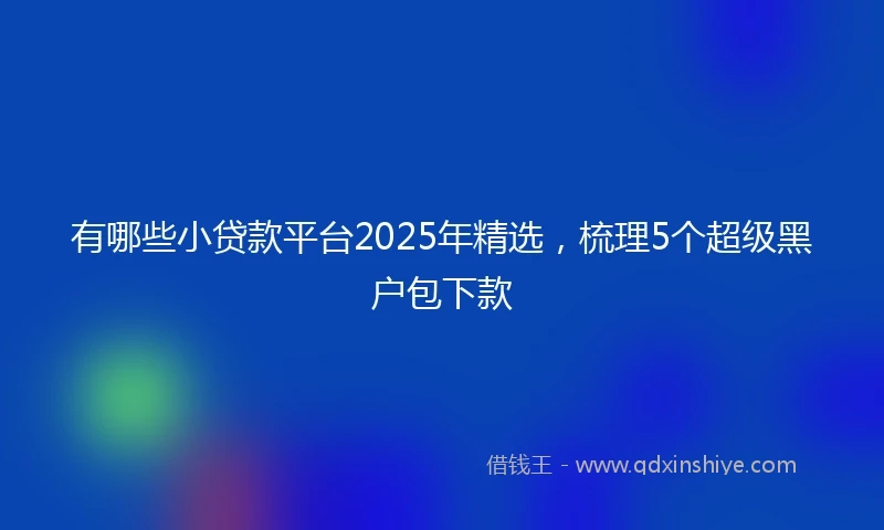 有哪些小贷款平台2025年精选，梳理5个超级黑户包下款