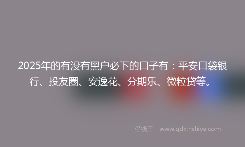 2025年的有没有黑户必下的口子有：平安口袋银行、投友圈、安逸花、分期乐、微粒贷等。