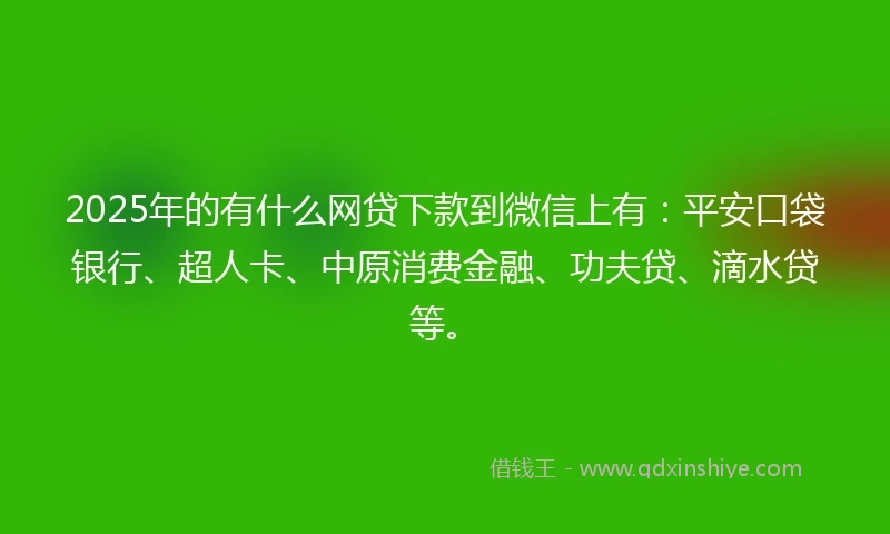 2025年的有什么网贷下款到微信上有：平安口袋银行、超人卡、中原消费金融、功夫贷、滴水贷等。