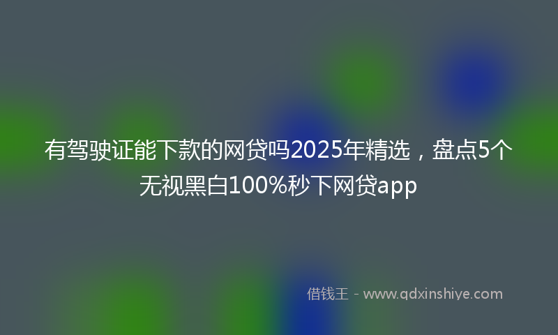 有驾驶证能下款的网贷吗2025年精选，盘点5个无视黑白100%秒下网贷app