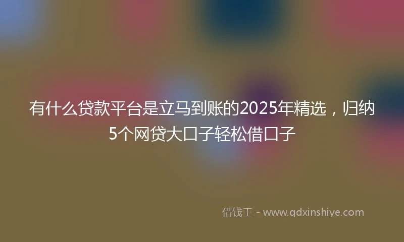 有什么贷款平台是立马到账的2025年精选，归纳5个网贷大口子轻松借口子