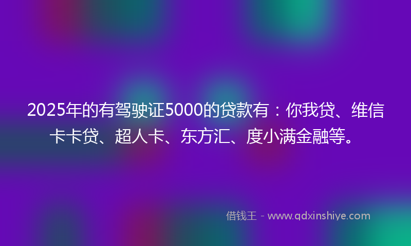 2025年的有驾驶证5000的贷款有：你我贷、维信卡卡贷、超人卡、东方汇、度小满金融等。