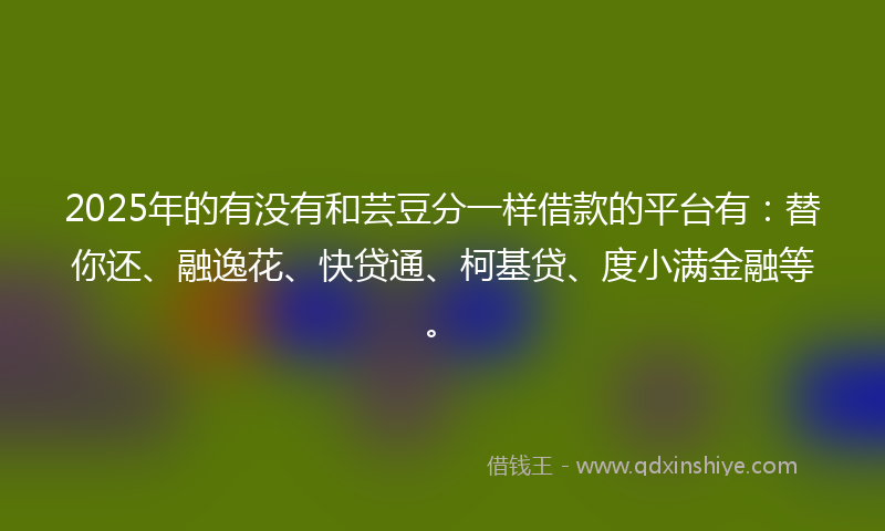 2025年的有没有和芸豆分一样借款的平台有：替你还、融逸花、快贷通、柯基贷、度小满金融等。