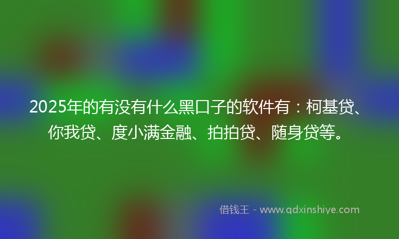2025年的有没有什么黑口子的软件有：柯基贷、你我贷、度小满金融、拍拍贷、随身贷等。