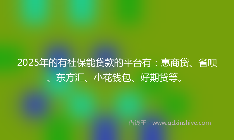 2025年的有社保能贷款的平台有：惠商贷、省呗、东方汇、小花钱包、好期贷等。