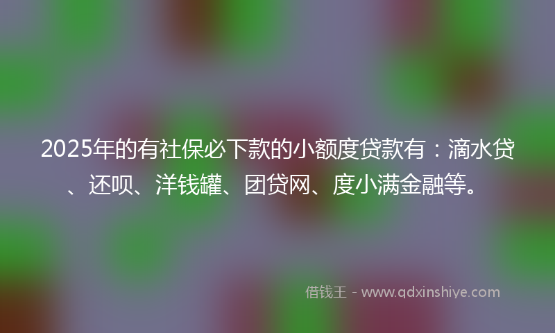2025年的有社保必下款的小额度贷款有：滴水贷、还呗、洋钱罐、团贷网、度小满金融等。