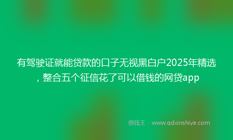 有驾驶证就能贷款的口子无视黑白户2025年精选，整合五个征信花了可以借钱的网贷app
