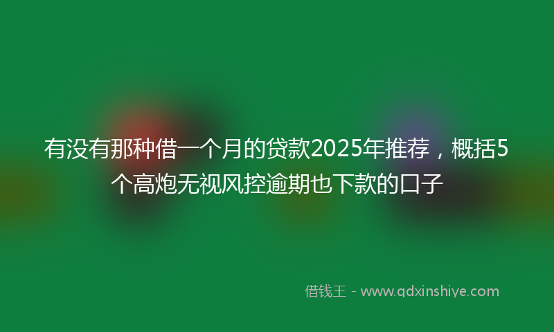 有没有那种借一个月的贷款2025年推荐，概括5个高炮无视风控逾期也下款的口子