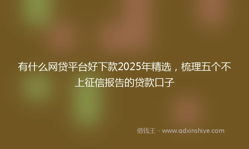 有什么网贷平台好下款2025年精选，梳理五个不上征信报告的贷款口子