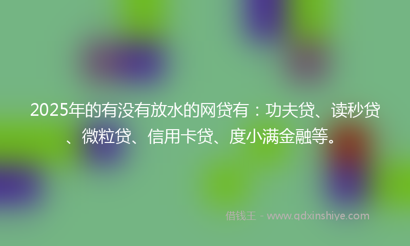 2025年的有没有放水的网贷有：功夫贷、读秒贷、微粒贷、信用卡贷、度小满金融等。