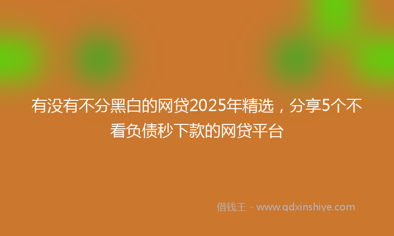 有没有不分黑白的网贷2025年精选，分享5个不看负债秒下款的网贷平台