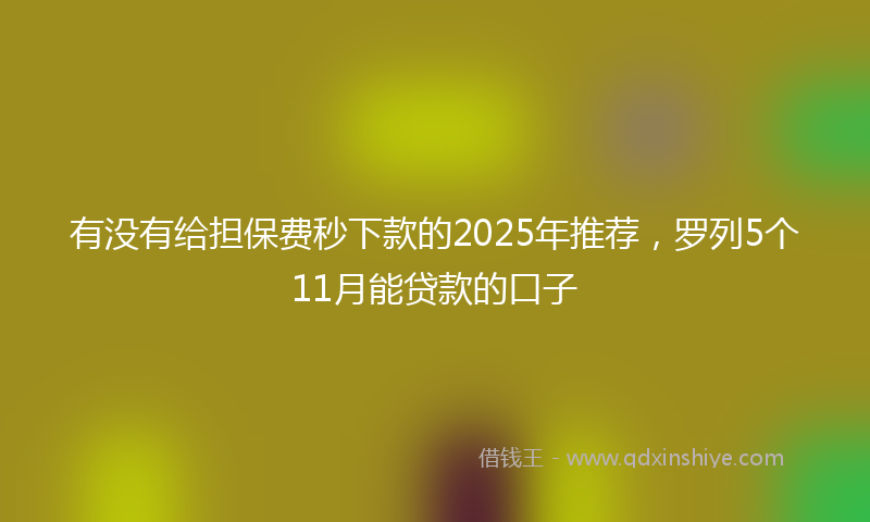 有没有给担保费秒下款的2025年推荐，罗列5个11月能贷款的口子