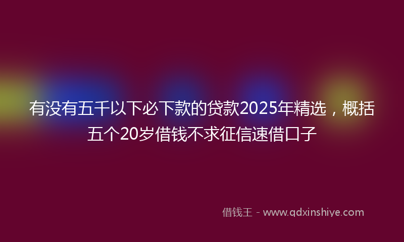 有没有五千以下必下款的贷款2025年精选，概括五个20岁借钱不求征信速借口子