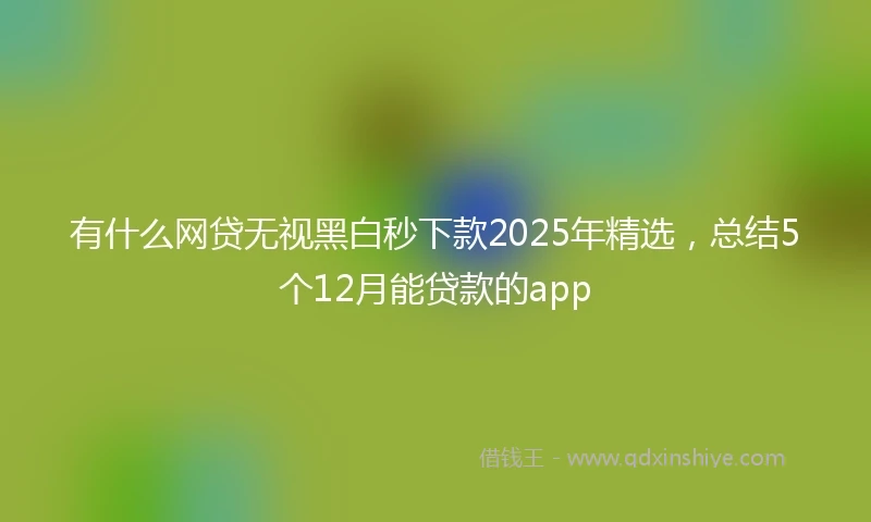 有什么网贷无视黑白秒下款2025年精选，总结5个12月能贷款的app