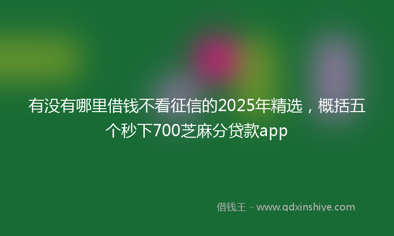 有没有哪里借钱不看征信的2025年精选，概括五个秒下700芝麻分贷款app