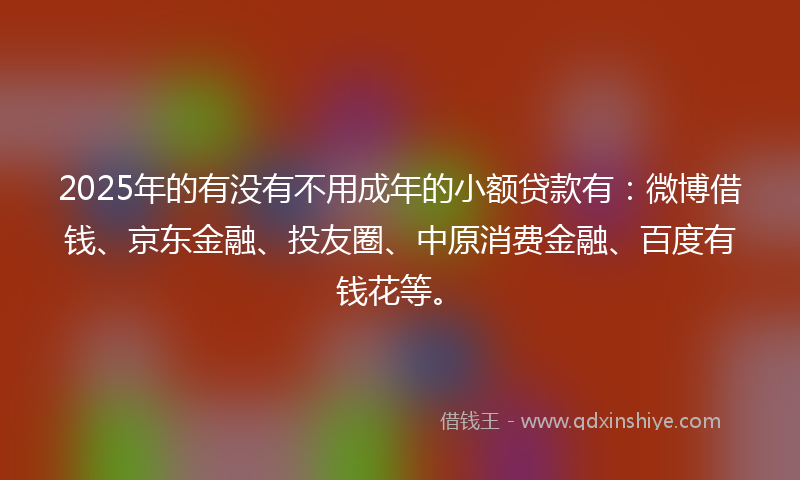 2025年的有没有不用成年的小额贷款有：微博借钱、京东金融、投友圈、中原消费金融、百度有钱花等。