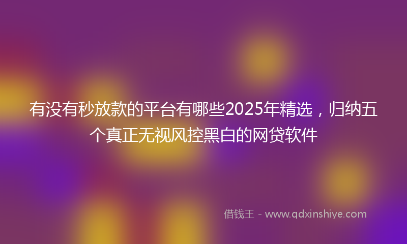 有没有秒放款的平台有哪些2025年精选，归纳五个真正无视风控黑白的网贷软件
