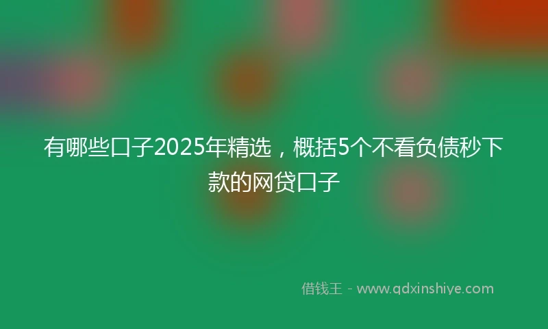 有哪些口子2025年精选，概括5个不看负债秒下款的网贷口子