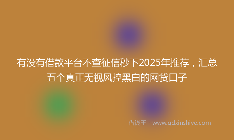 有没有借款平台不查征信秒下2025年推荐，汇总五个真正无视风控黑白的网贷口子