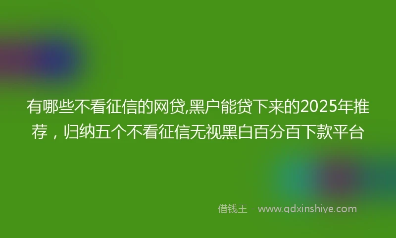 有哪些不看征信的网贷,黑户能贷下来的2025年推荐，归纳五个不看征信无视黑白百分百下款平台