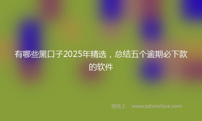 有哪些黑口子2025年精选，总结五个逾期必下款的软件