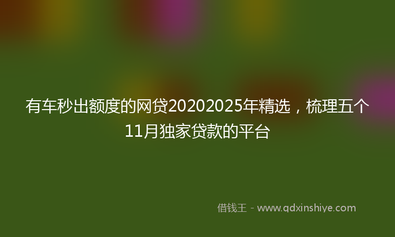有车秒出额度的网贷20202025年精选，梳理五个11月独家贷款的平台