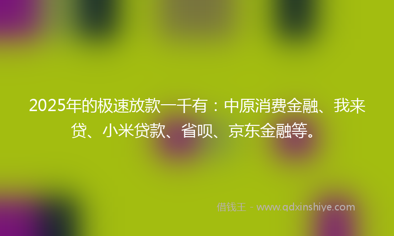 2025年的极速放款一千有：中原消费金融、我来贷、小米贷款、省呗、京东金融等。