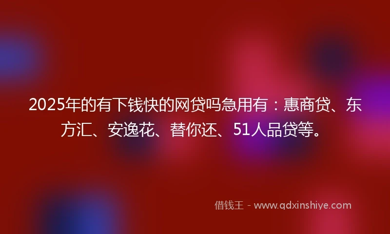 2025年的有下钱快的网贷吗急用有：惠商贷、东方汇、安逸花、替你还、51人品贷等。