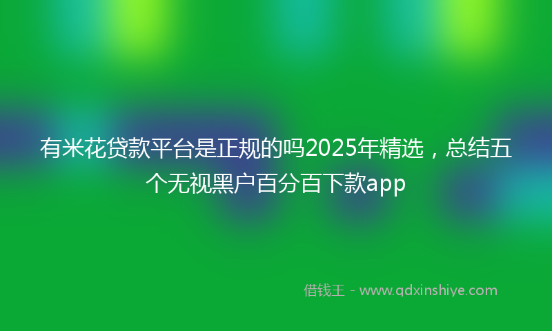有米花贷款平台是正规的吗2025年精选，总结五个无视黑户百分百下款app