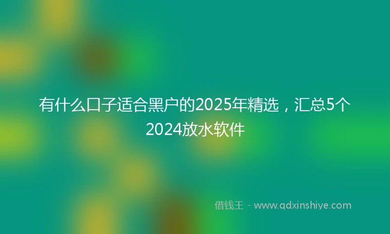 有什么口子适合黑户的2025年精选，汇总5个2024放水软件