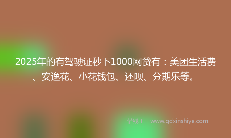 2025年的有驾驶证秒下1000网贷有：美团生活费、安逸花、小花钱包、还呗、分期乐等。