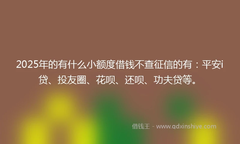 2025年的有什么小额度借钱不查征信的有：平安i贷、投友圈、花呗、还呗、功夫贷等。