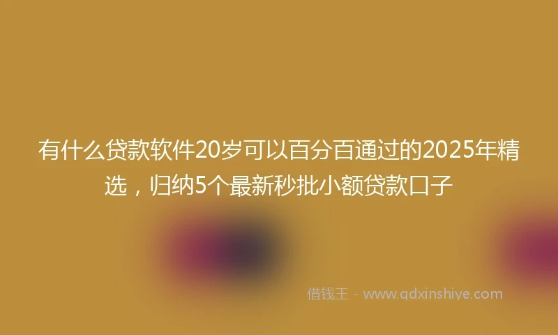 有什么贷款软件20岁可以百分百通过的2025年精选，归纳5个最新秒批小额贷款口子