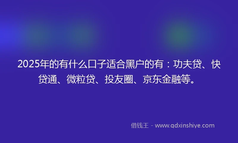 2025年的有什么口子适合黑户的有：功夫贷、快贷通、微粒贷、投友圈、京东金融等。