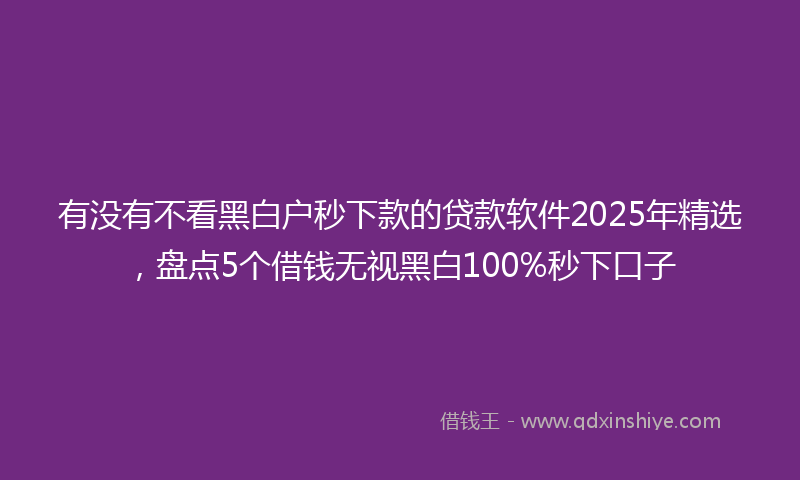 有没有不看黑白户秒下款的贷款软件2025年精选，盘点5个借钱无视黑白100%秒下口子