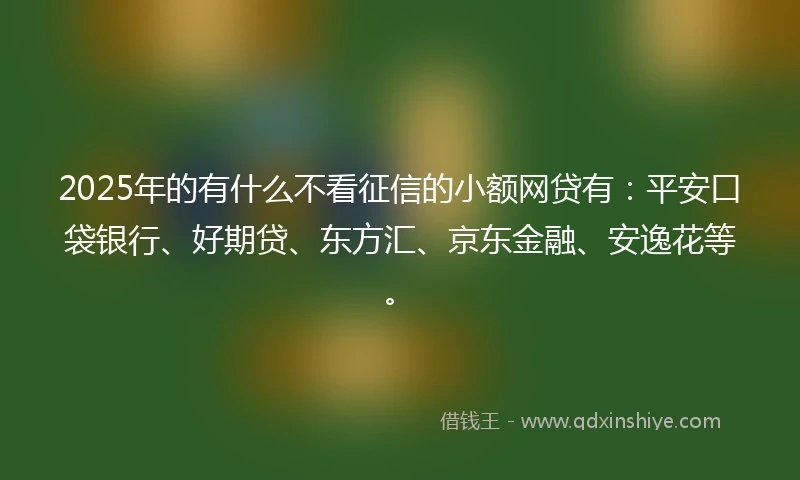 2025年的有什么不看征信的小额网贷有：平安口袋银行、好期贷、东方汇、京东金融、安逸花等。