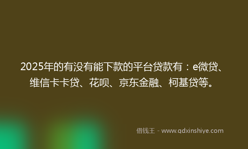 2025年的有没有能下款的平台贷款有：e微贷、维信卡卡贷、花呗、京东金融、柯基贷等。