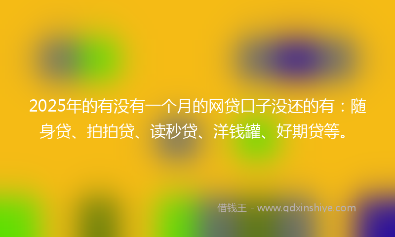 2025年的有没有一个月的网贷口子没还的有：随身贷、拍拍贷、读秒贷、洋钱罐、好期贷等。