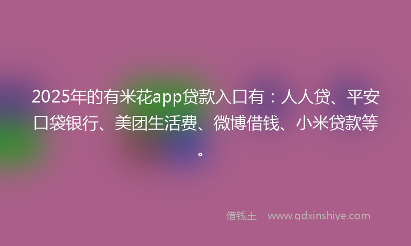 2025年的有米花app贷款入口有：人人贷、平安口袋银行、美团生活费、微博借钱、小米贷款等。