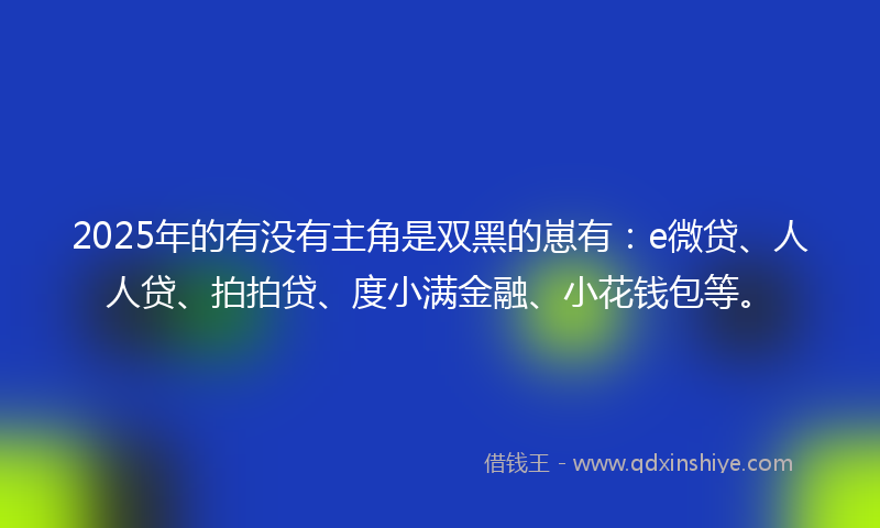 2025年的有没有主角是双黑的崽有：e微贷、人人贷、拍拍贷、度小满金融、小花钱包等。
