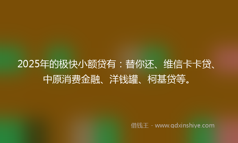 2025年的极快小额贷有：替你还、维信卡卡贷、中原消费金融、洋钱罐、柯基贷等。