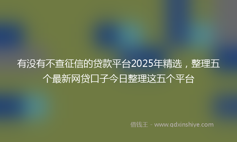 有没有不查征信的贷款平台2025年精选，整理五个最新网贷口子今日整理这五个平台